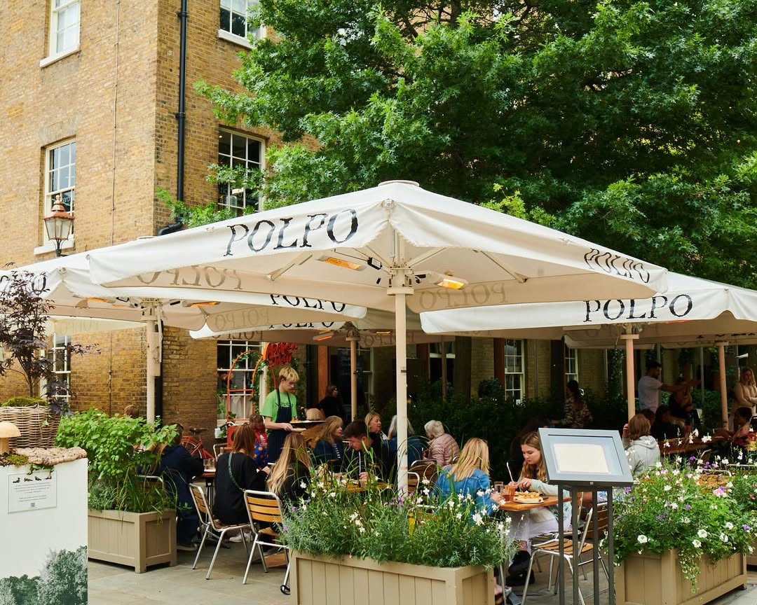Polpo Chelsea restaurant